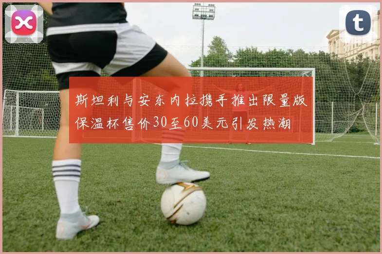 斯坦利与安东内拉携手推出限量版保温杯售价30至60美元引发热潮
